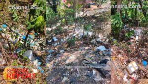 Read more about the article മരണം മാടിവിളിക്കുന്ന മാലിന്യങ്ങൾ; മഴയ്‌ക്കൊപ്പം മാരക രോഗങ്ങളും പടരുമെന്ന ഭീതിയിൽ കാസർകോട് നഗരപ്രദേശങ്ങൾ, മാലിന്യം തള്ളുന്നത് തടയാനാവാതെ അധികൃതർ