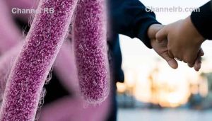 Read more about the article ശാരീരിക ബന്ധത്തിനിടെ പടരും, ആന്റിബയോട്ടിക് ഫലിക്കില്ല; ഗുരുതര ബാക്‌ടീരിയ രോഗത്തിൻ്റെ മുന്നറിയിപ്പ് നല്‍കി ഓസ്‌ട്രേലിയന്‍ ആരോഗ്യ വകുപ്പ്