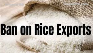 Read more about the article ഇന്ത്യ അരി കയറ്റുമതി നിരോധനം നടത്തിയതിന് കാരണം; വിദേശ രാജ്യങ്ങളെ ബാധിക്കുന്നത് ഇങ്ങനെ