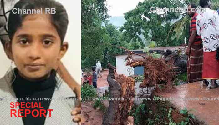 You are currently viewing മരം വീണ് ആറാം ക്ലാസ് വിദ്യാര്‍ത്ഥിനിക്ക് ദാരുണാന്ത്യം; അപകടം സ്‌കൂളിന് സമീപം കളിച്ചു കൊണ്ടിരിക്കെ, നാടിൻ്റെ കണ്ണീരിൽ കുതിർന്ന യാത്രാമൊഴി