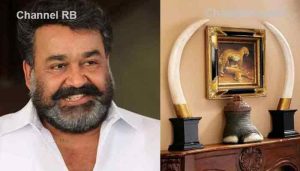 Read more about the article മോഹന്‍ലാല്‍ ആനക്കൊമ്പ് കേസില്‍ നേരിട്ട് ഹാജരാകണമെന്ന് പെരുമ്പാവൂർ കോടതി