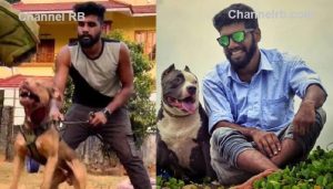 Read more about the article നായ വളർത്തൽ കേന്ദ്രത്തിന്‍റെ മറവിൽ കഞ്ചാവ് വിൽപന; പ്രതി റോബിൻ തമിഴ്‌നാട്ടിൽ നിന്ന് പോലീസ് പിടിയിലായി