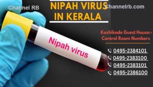 Read more about the article നിപ വൈറസ്, കോഴിക്കോടിന് പുറമെ മൂന്ന് ജില്ലകള്‍ക്കും ജാഗ്രതാ നിര്‍ദേശം; കൂടുതൽ കണ്ടയിൻമെണ്ട് സോണുകൾ പ്രഖ്യാപിച്ചു