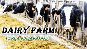 Read more about the article ലക്ഷക്കണക്കിന് പാട്ടക്കരാര്‍ പണം നല്‍കാതെ പ്ലാൻ്റെഷന്‍ കോര്‍പ്പറേഷനെ വഞ്ചിച്ചതായി പരാതി; തിരുവനന്തപുരം സ്വദേശിക്കെതിരെ പോലീസ് കേസ്