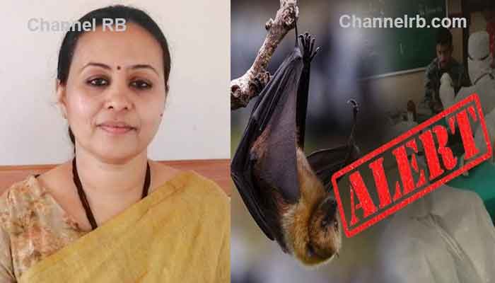 Read more about the article വവ്വാലുകളിൽ നിപാ സാന്നിദ്ധ്യം വയനാട്ടിൽ ഉണ്ട്; ജാഗ്രത വേണമെന്ന് ആരോഗ്യമന്ത്രി വീണാ ജോർജ്