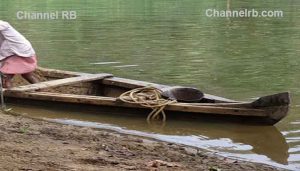 Read more about the article കാസർകോട് കടവില്‍ അനധികൃത മണല്‍ക്കടത്ത്; ടിപ്പര്‍ ലോറി പിടിച്ചു, മൂന്ന് തോണികള്‍ തകര്‍ത്തു