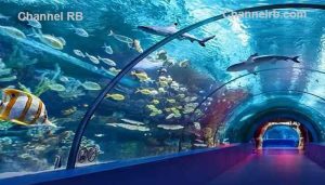 Read more about the article കൊല്ലത്ത് കടലിനുള്ളിലെ സൗന്ദര്യത്തില്‍ ഇനി നടന്നുകയറാം; ഓഷ്യനേറിയം പദ്ധതിക്ക് 10 കോടി അനുവദിച്ചു