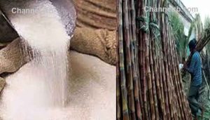 Read more about the article പഞ്ചസാര ക്ഷാമം രൂക്ഷമാകും; കരിമ്പില്‍ നിന്ന് എത്തനോള്‍ ഉത്പാദനത്തിന് നിരോധനം