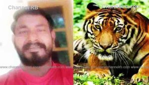 Read more about the article ഒരു വർഷത്തിനിടെ കടുവയുടെ ആക്രമണത്തിൽ വയനാട്ടിൽ രണ്ടാമത്തെ മരണം; കടുവയുടെ ആക്രമണത്തിൽ യുവാവ് കൊല്ലപ്പെട്ടു, ശരീര ഭാഗങ്ങൾ ഭക്ഷിച്ച നിലയിൽ കണ്ടെത്തി