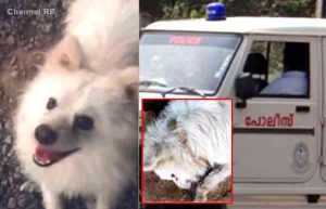 Read more about the article അയൽവാസിയുമായി തർക്കം; ഇതുകണ്ട വളർത്തുനായ നിർത്താതെ കുരച്ചു; രോഷാകുലനായ യുവാവ് നടത്തിയ കൊലപാതകത്തിൽ നടുങ്ങി നാട്; പോലീസ് ഇടപെടലും പിന്നീടുണ്ടായ സംഭവവും..