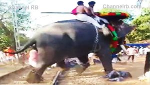 Read more about the article കണയം ശ്രീ കുറുംബ കാവിൽ എഴുന്നെള്ളിപ്പിന് എത്തിയ ആന ഇടഞ്ഞോടി; ഓടുന്നതിനിടെ പലരും ആനയുടെ മുന്നിൽ വീണു