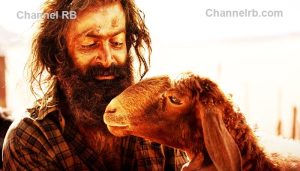 Read more about the article ‘ആടുജീവിതം’ തിയേറ്ററുകളില്‍; അഡ്വാൻസ് ബുക്കിങ്ങില്‍ പുതുചരിത്രം, പൃഥ്വിരാജിൻ്റെ കരിയർ ബെസ്റ്റ് ഓപ്പണിങ് തന്നെയായിരിക്കും