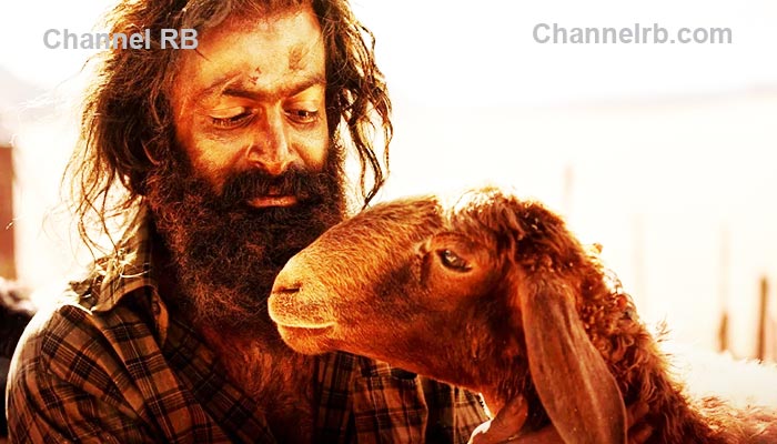 You are currently viewing ‘ആടുജീവിതം’ തിയേറ്ററുകളില്‍; അഡ്വാൻസ് ബുക്കിങ്ങില്‍ പുതുചരിത്രം, പൃഥ്വിരാജിൻ്റെ കരിയർ ബെസ്റ്റ് ഓപ്പണിങ് തന്നെയായിരിക്കും