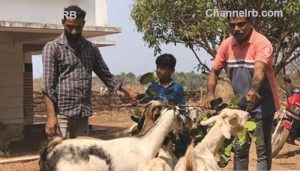 Read more about the article ആട് മോഷണ സംഘത്തിലെ പ്രധാനിയെയും ഉടൻ പിടികൂടും; പ്രധാന പ്രതിയെയും സ്ത്രീയെയും കണ്ടെത്താന്‍ വലവിരിച്ച് പൊലീസ്