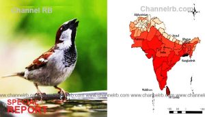 Read more about the article വേനൽ ചൂട് 37 ഡിഗ്രി സെല്‍ഷ്യസ് വരെ; ആറ് ജില്ലകളില്‍ ഉയര്‍ന്ന താപനില മുന്നറിയിപ്പ്, ജാഗ്രതാ നിര്‍ദേശങ്ങള്‍