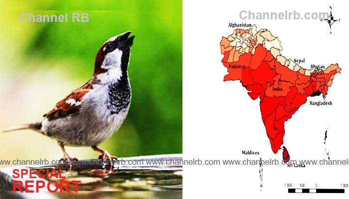 You are currently viewing വേനൽ ചൂട് 37 ഡിഗ്രി സെല്‍ഷ്യസ് വരെ; ആറ് ജില്ലകളില്‍ ഉയര്‍ന്ന താപനില മുന്നറിയിപ്പ്, ജാഗ്രതാ നിര്‍ദേശങ്ങള്‍