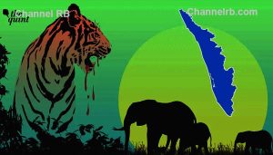 Read more about the article വന്യമൃഗ ആക്രമണം; അന്തര്‍ സംസ്ഥാന സഹകരണ ചാര്‍ട്ടറില്‍ ഒപ്പിട്ട് കേരളവും കര്‍ണാടകയും