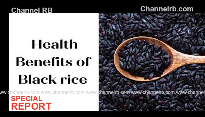 Read more about the article രാജകുടുംബാംഗങ്ങൾ അടക്കം പണ്ട് കഴിച്ചിരുന്ന പ്രിയ ഭക്ഷണം; പ്രായമേറുന്നത് തടയും, പിന്നെയുമുണ്ട് പ്രത്യേകതകള്‍