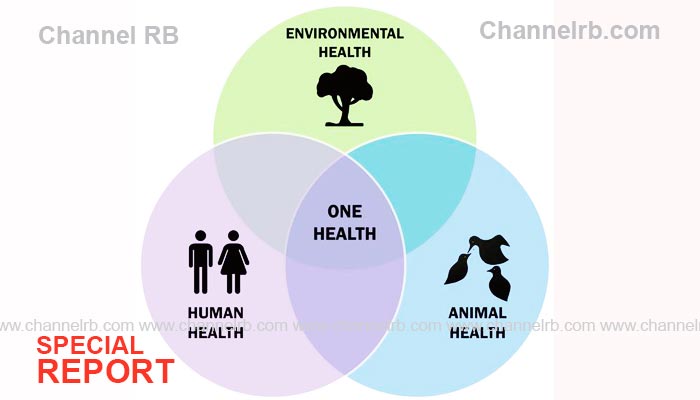 Read more about the article വരും നാളുകളിൽ ജാഗ്രത വേണം; പകര്‍ച്ചവ്യാധി പ്രതിരോധത്തിന് ‘വണ്‍ ഹെല്‍ത്ത്’ മുന്നൊരുക്കങ്ങൾ തുടങ്ങി