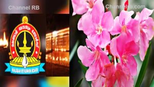 Read more about the article അരളി പൂവ്‌ വിലക്കി തിരുവിതാംകൂർ- മലബാർ ദേവസ്വം ബോർഡുകൾ; ക്ഷേത്രങ്ങളിൽ നിവേദ്യത്തിലും പ്രസാദത്തിലും    ഉപയോ​ഗിക്കില്ല, തുളസി പിച്ചി പൂവുകൾ ഉപയോഗിക്കാം