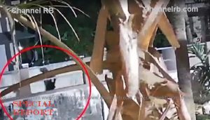 Read more about the article ഉറങ്ങിക്കിടന്ന പത്ത് വയസ്സുകാരിയെ തട്ടിക്കൊണ്ടു പോയി പീഡിപ്പിച്ച കേസ്; സി.സി.ടി.വി ദൃശ്യങ്ങൾ നിർണായകം, ദിവസങ്ങൾക്ക് മുമ്പ് മോഷണവുമായി ബന്ധപ്പെട്ട രേഖാ ചിത്രവുമായി പ്രതിക്ക് സാമ്യമെന്ന് പോലീസ്