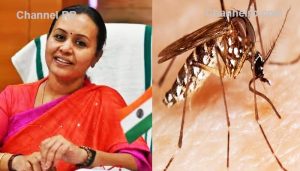 Read more about the article ജാഗ്രതാ നിര്‍ദേശം വെസ്റ്റ് നൈല്‍ പനി; മലപ്പുറം കോഴിക്കോട് തൃശൂര്‍ ജില്ലകൾക്ക്: മന്ത്രി വീണാ ജോര്‍ജ്