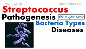 Read more about the article മനുഷ്യമാസം ഭക്ഷിക്കുന്ന ബാക്ടീരിയ; ശരീരത്തില്‍ പ്രവേശിച്ചാല്‍ 48 മണിക്കൂറില്‍ മരണം?, ലോകം മറ്റൊരു മഹാമാരിയുടെ ഭീതിയിൽ