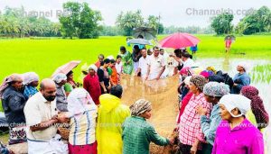 Read more about the article നെൽവയൽ പാടശേഖരം മൂന്നാംവിള കൃഷിക്ക് അനുയോജ്യമാക്കും; തൃക്കരിപ്പൂ‍ര്‍ ഗ്രാമ പഞ്ചായത്തിൻ്റെ കയര്‍ ഭൂവസ്ത്രം പദ്ധതിക്ക് തുടക്കം