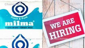 Read more about the article പരീക്ഷ എഴുതേണ്ട, മില്‍മയില്‍ ജോലി നേടാം; 30,000/- രൂപ വരെ ശമ്പളം, ഇപ്പോള്‍ അപേക്ഷിക്കാം