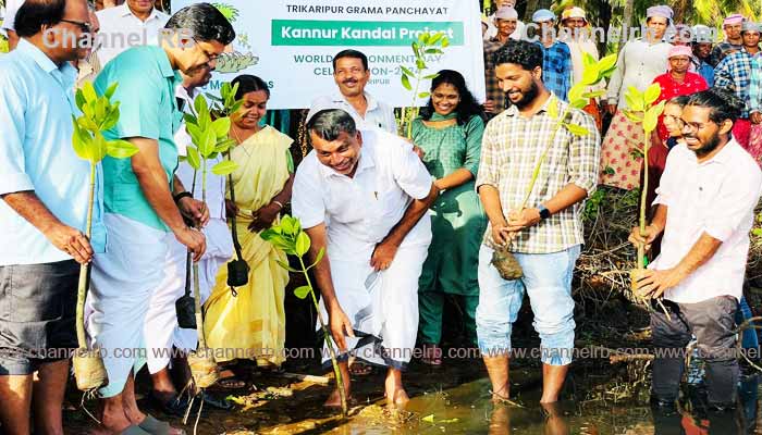 Read more about the article കുട്ടിച്ചി പുഴയോരത്തും കണ്ടൽ തൈകൾ വളരും; പരിസ്ഥിതി ദിനത്തിൽ കണ്ടൽ നടീൽ പദ്ധതിക്ക് തുടക്കം