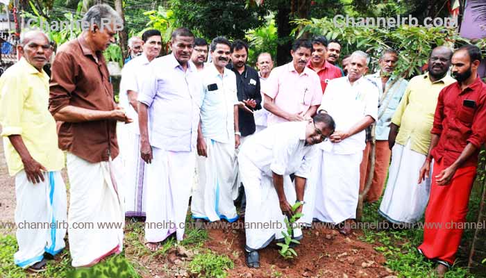 You are currently viewing ജില്ലാതല പരിസ്ഥിതി ദിനാചരണം; കർഷക സംഘം അതിയാമ്പൂരിൽ വൃക്ഷത്തൈ നട്ടു പിടിപ്പിച്ചു