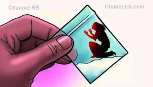 Read more about the article കോടികളുടെ മയക്കുമരുന്ന് വേട്ട; നഴ്‌സിങ് വിദ്യാര്‍ഥിനിയും യുവാവും പിടിയില്‍, കാറില്‍ കടത്തുക ആയിരുന്ന 480 ഗ്രാം എം.ഡി.എം.എ പൊലീസ് കണ്ടെടുത്തു