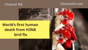 Read more about the article ലോകത്ത് ആദ്യം പക്ഷിപ്പനി ബാധിച്ച് ഒരാള്‍ മരിച്ചു; സ്ഥിരീകരിച്ച് ലോകാരോഗ്യ സംഘടന മനുഷ്യരിലേക്ക് എങ്ങനെ രോഗബാധ പകര്‍ന്നുവെന്നത് അജ്ഞാതമെന്ന് ലോകാരോഗ്യ സംഘടന
