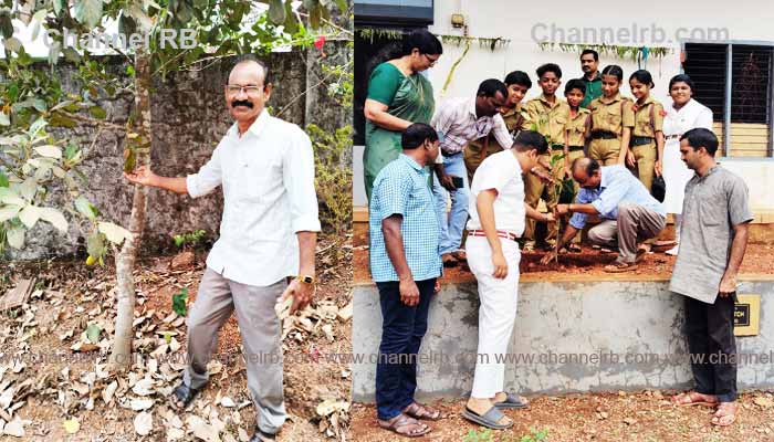 Read more about the article പരിസ്ഥിതി ദിനാചരണത്തിൽ, പാരിസ്ഥിതിക വെല്ലുവിളിൾക്ക് എതിരെ ജോർജ്ജ് മാഷിൻ്റെ മാതൃക; വിരമിച്ചിട്ടും  ഈ അധ്യാപകന് വിദ്യാലയ സ്നേഹം ഒട്ടും കുറഞ്ഞിട്ടില്ല