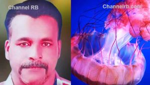 Read more about the article മീൻ പിടിക്കുമ്പോൾ ജെല്ലിഫിഷ് കണ്ണിൽ തെറിച്ചു; അലർജി ബാധിച്ച്‌ ചികിത്സയിൽ ആയിരുന്ന മത്സ്യത്തൊഴിലാളി മരിച്ചു