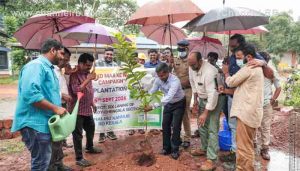Read more about the article ഏക് പേട് മാം കെ നാം ക്യാമ്പയിൻ ജില്ലാകളക്ടർ ഉദ്ഘാടനം ചെയ്തു