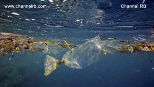 Read more about the article സൗരോർജം ഉപയോഗിച്ചുള്ള കടൽ ജല ശുദ്ധീകരണ പ്ലാന്റിനു കാസറഗോഡ് ജില്ലയിൽ 1.40 കോടി രൂപ അനുവദിച്ചു