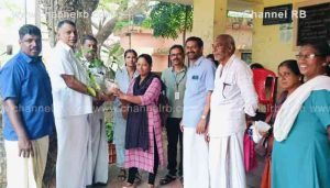Read more about the article തൃക്കരിപ്പൂർ ഗ്രാമപഞ്ചായത്തിൽ കുറ്റികുരുമുളക് തൈ വിതരണം ചെയ്തു