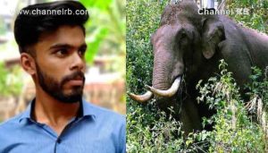 Read more about the article കാട്ടാന ആക്രമണത്തിൽ മരിച്ച അമർ ഇലാഹിയുടെ മൃതദേഹം കബറടക്കി; കുടുംബത്തിന് 10 ലക്ഷം രൂപ ധനസഹായം; വണ്ണപ്പുറം പഞ്ചായത്തിൽ ഹർത്താൽ; മന്ത്രി റോഷി അഗസ്റ്റിൻ വീട് സന്ദർശിച്ചു