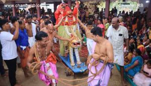 Read more about the article ചാമുണ്ഡിക്കുന്ന് വിഷ്ണുചാമുണ്ഡേശ്വരി ദേവസ്ഥാനം കളിയാട്ട മഹോത്സവത്തിന് സമാപനമായി