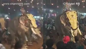 Read more about the article തിരൂർ പുതിയങ്ങാടി നേർച്ചക്കിടെ ആനയിടഞ്ഞ് നിരവധി പേർക്ക് പരിക്ക്; ഒരാളെ ആന തൂക്കി എറിഞ്ഞു; 21 പേർക്ക് പരിക്ക് ഒരാളുടെ നില ഗുരുതരം