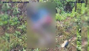 Read more about the article യുവാവിന് ദാരുണാന്ത്യം; വയനാട്ടിൽ വീണ്ടും കാട്ടാന ആക്രമണം