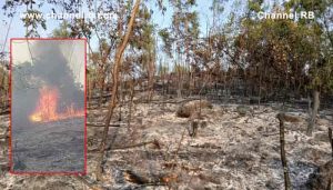 Read more about the article നാരംപാടിയിൽ തീപിടുത്തം, ലക്ഷങ്ങളുടെ നഷ്ടം; നാട്ടുകാരുടെ സംയോജിത ഇടപെടൽ; ഒഴിവായത് വൻ ദുരന്തം