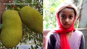 Read more about the article തലയിൽ ചക്ക വീണ് പരിക്കേറ്റ 9 വയസ്സുകാരിയെ ഉടൻ ആശുപത്രിയിൽ എത്തിച്ചു; പിന്നാലെ മരണവും; നാടിനെ കണ്ണീരിലാക്കി ആയിശ തസ്നിയുടെ മരണം