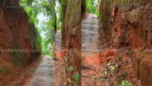Read more about the article ഇടുങ്ങിയ വഴിയും ഇരു ഭാഗത്തുമുള്ള കുന്നും; അപകട ഭീഷണിയിൽ കാസർകോട് പുലിക്കുന്നിലെ കോൺക്രീറ്റ് റോഡ്; ഭീതിയിൽ നാട്ടുകാർ