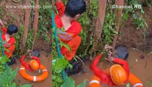 Read more about the article കിണറ്റിൽ വീണ പശുവിനെ രക്ഷിച്ച് കാസർകോട്ടെ അഗ്നിശമനസേന; സംഭവം തളങ്കര കെ.കെ പുറത്ത്..