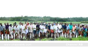 Read more about the article ചേറ്റുകുണ്ട് കീക്കാൻ മീത്തൽ വീട് തറവാട് വയനാട്ടുകുലവൻ ദേവസ്ഥാനം തെയ്യംകെട്ട് മഹോത്സവഭാഗമായി ഞാറ് നടീൽ ഉത്സവം നടന്നു; പള്ളിക്കര ഗ്രാമപഞ്ചായത്ത് പ്രസിഡണ്ട് എം.കുമാരൻ ഉദ്ഘാടനം ചെയ്തു