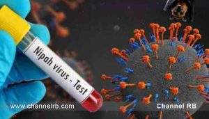 Read more about the article നിപ സമ്പര്‍ക്ക പട്ടികയില്‍ ഉള്‍പ്പെട്ട സ്ത്രീ മരിച്ചു; പരിശോധനാ ഫലം നെഗറ്റിവ്; ആരോഗ്യവകുപ്പിൻ്റെ പ്രോട്ടോകോള്‍ പ്രകാരം ഇവര്‍ ഹൈ റിസ്‌ക്ക് സമ്പര്‍ക്കപ്പട്ടികയിലുണ്ടായിരുന്നു..