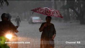 Read more about the article റെഡ് അലർട്ട് തുടരുന്നു; ജൂലൈ 19 ശനിയാഴ്ചയും കാസർകോട് ജില്ലയിലെ വിദ്യാഭ്യാസ സ്ഥാപനങ്ങൾക്ക് കളക്ടർ അവധി പ്രഖ്യാപിച്ചു; കൂടുതൽ അറിയാം..