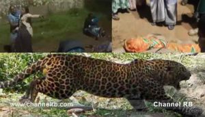 Read more about the article കടയിലേക്ക് പാല് വാങ്ങാൻ പോയ 7 വയസ്സുകാരനെ പുലി കടിച്ചു കൊന്നു; വിറങ്ങലിച്ച് ഒരു നാട്; സംഭവം വൈകിട്ട് 7 മണിയോടെ..